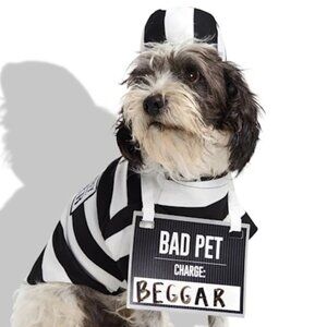 NWT Bootique Prisoner 3-Piece Pet Halloween Costume- XS